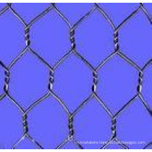 The Galvanized Iron Hexagonal Wire Mesh